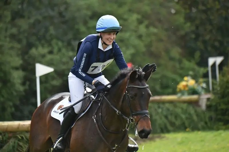 KWPN mare for sale eventing broodmare