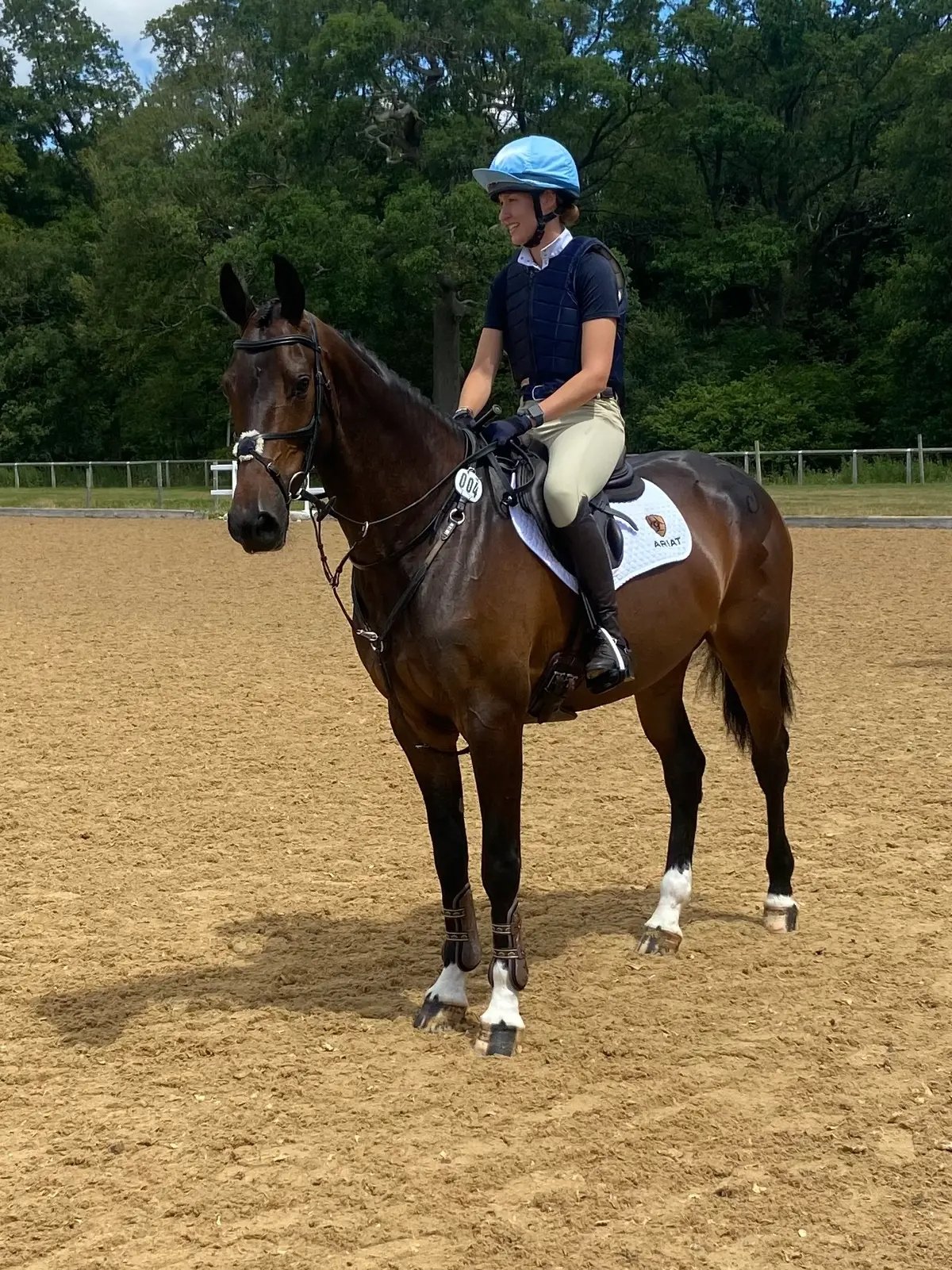 KWPN mare for sale eventing broodmare