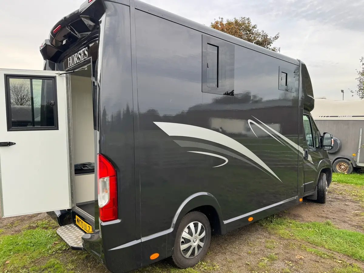 Peugeot Boxer 3.5t new build horsebox for sale