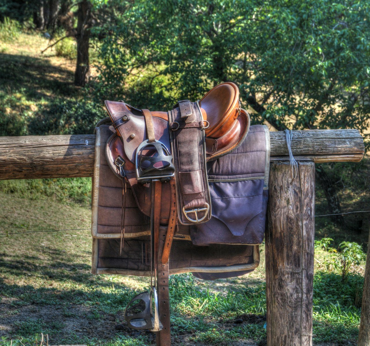 Used Saddles