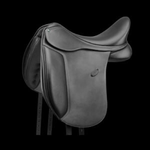 Arena Dressage