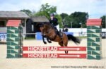 Irish Sports Pony for sale