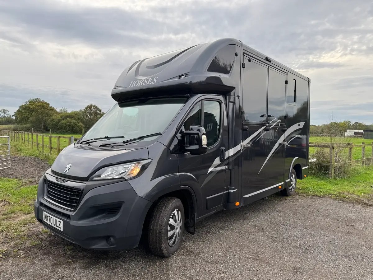 Peugeot Boxer 3.5t new build horsebox for sale