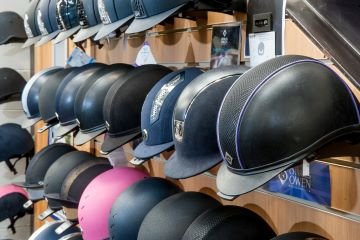 Professional Saddle Fitting