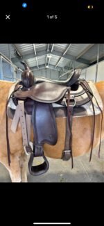 Circle Y 1665 Pioneer Flex2® Trail Saddle