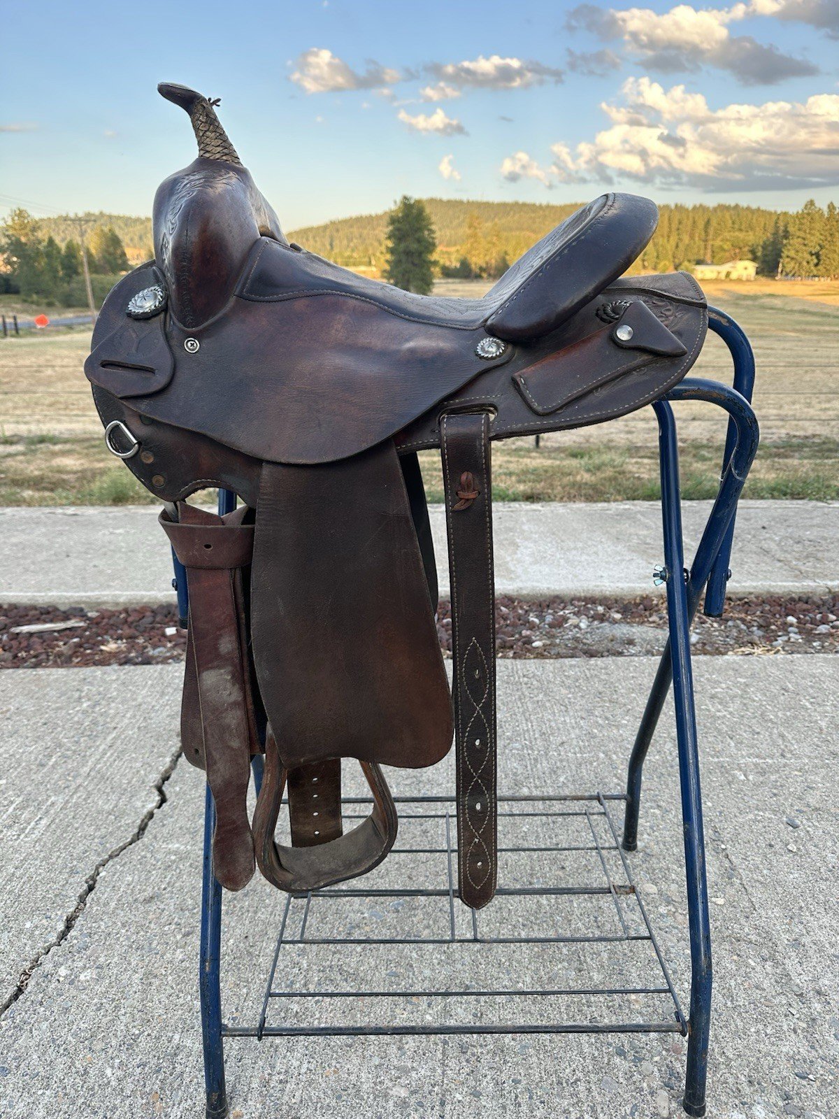 Horse Tack - 14” Circle Y Connie Combs Western Barrel Racing Saddle